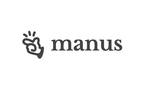 Manus AI in Meta Ads manager